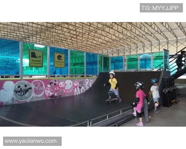 武汉滑板队的奋斗与荣耀：一段激情四溢的滑板纪实之旅