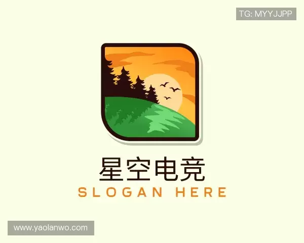 介绍星空电竞